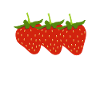 Strawberry lover