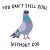 Cool pigeon
