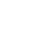 Saut à ski freestyle