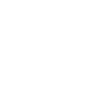 snow globe