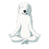 Yoga Great Pyrenees Dog