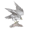 Peregrine falcon