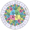 Biochemie RNA Codon Code Sonne