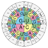 Kod biochemiczny RNA Kod Codon Wygląd Słońca Grunge