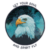 aquila visiva "lascia volare la tua anima e il tuo spirito"