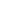 Moinsen with seagull