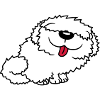 Bobtail drôle