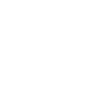Braumeister Beer Brewer