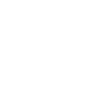 SURFER SURFING EVOLUTION
