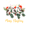 Kookaburras Christmas