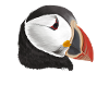 Puffin