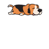 Beagle Dog