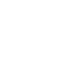 Dinosaur