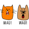 dog and cat
