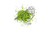 Kakapo