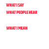 Software developer