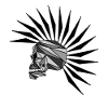 cyber punk scull plain