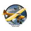 airplane