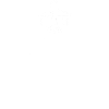 pilot