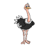 Ostrich