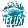 Carp Fishing Fishermen
