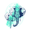 éléphants