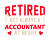 Accountant pension