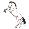 Cheval cheval cheval cheval