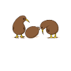 Deux kiwis avec un kiwi