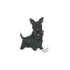 Scottie Dog Apparel