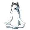 Yoga Husky Dog
