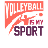 Volleyball player gift