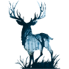 Esprit de forêt