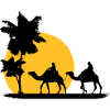 Camel - Kamel - Dromedar - Karawane