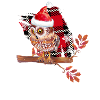 Owl Christmas