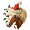 Christmas Pony