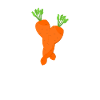 Carrots design