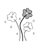 Fleurs blanc gris