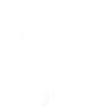 White Monkey Boombox
