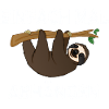 Faultier - Einfach mal abhängen