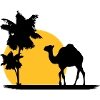 Camel - Kamel - Dromedar