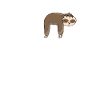 Sloth Eat Sleep Repeat
