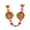 Hawaiian coconut bra. Tropical cocoa