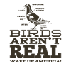 Birds Aren't Real