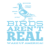 Birds Aren't Real