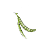 Vegan Vegan Pois Vegan Blanc