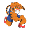 Tigre musclé