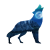 Wolf Moon