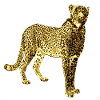 Leopard Golden Graffiti Art