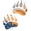 Trace of the bear